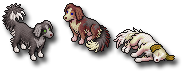 canen1.png